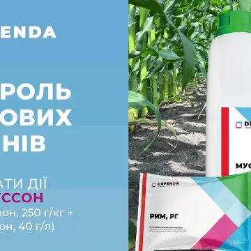 Рим, РГ, (Римсульфурон, 250 г/кг.)