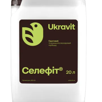 Селефит