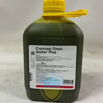 Стеллар