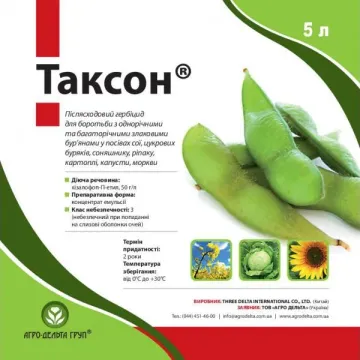 Таксон