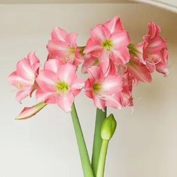 Светофор