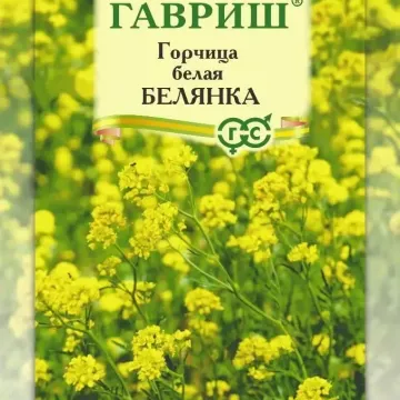 Белянка