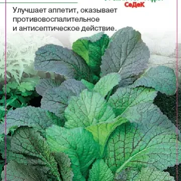 Волнушка