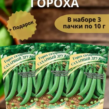 Дружная Семейка