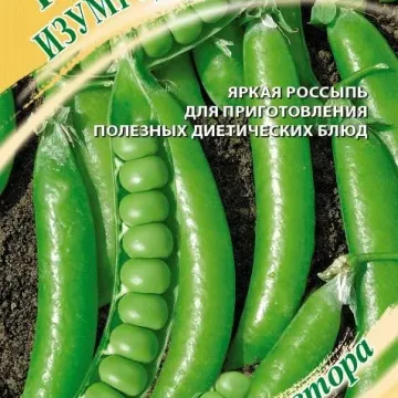 Изумрудные Ядра