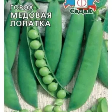 Медовая Лопатка