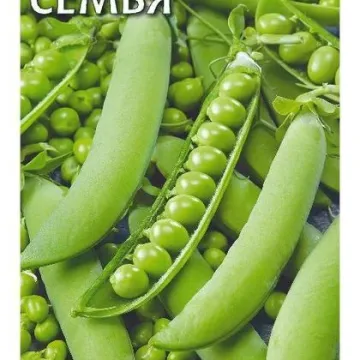 Семья