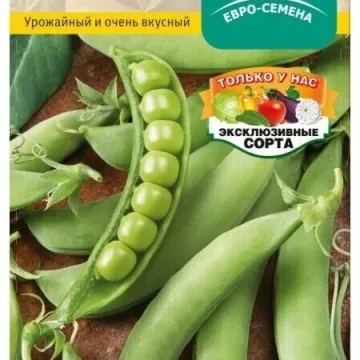 Удачный