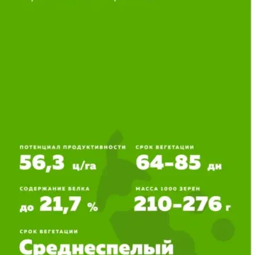 Фараон