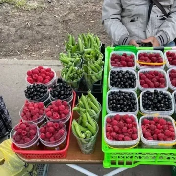 Тюменець