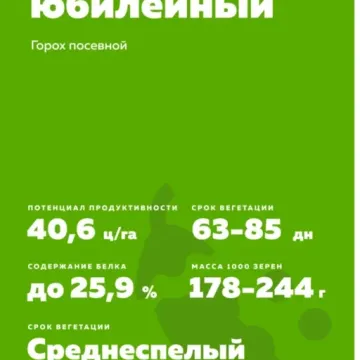 Ульяновский Юбилейный