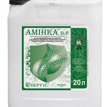 Aminka