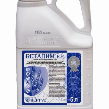 Betadim