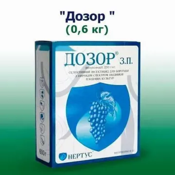 Дозор