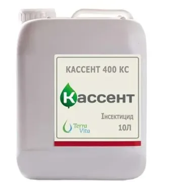 Кассент 400