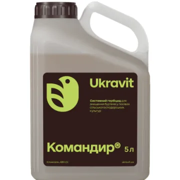 Командор
