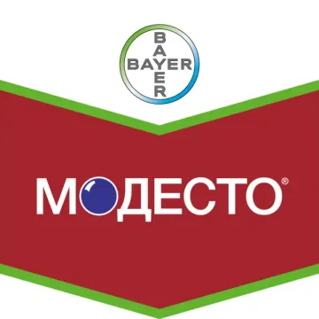 Модесто 480 FS