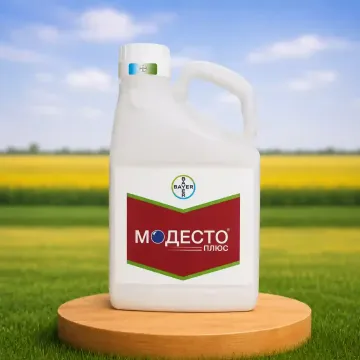 Модесто 480FS