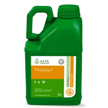 Нокаут, КЕ