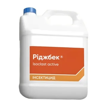 Риджбек