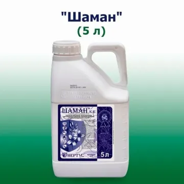 Шаман к.е.