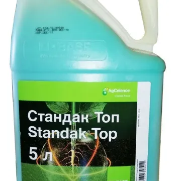 Стандак Топ