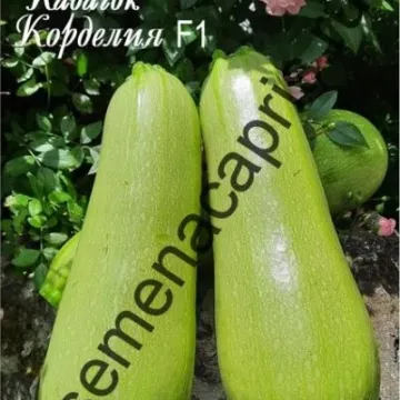 Слоненок