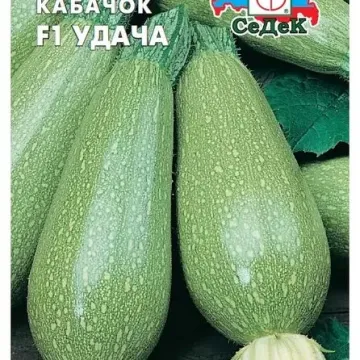 Удача
