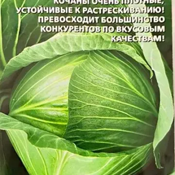 Багаєвська