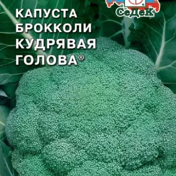 Кучерява Голова
