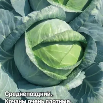 Лозанна