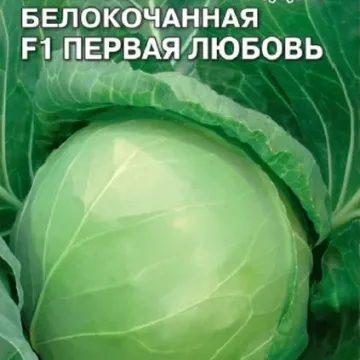 Первая Любовь