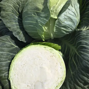 Звіт