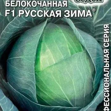 Russian Winter