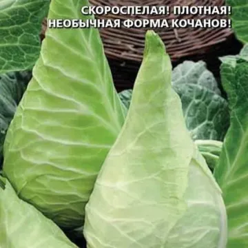 Сахарное Сердце