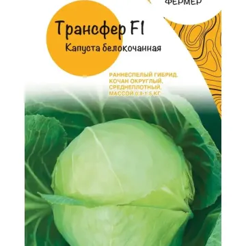 Трансфер