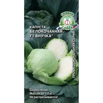 Vnuchka