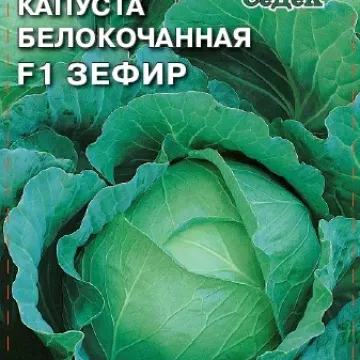 Зефір