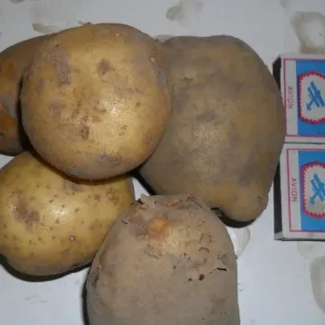 Арамис