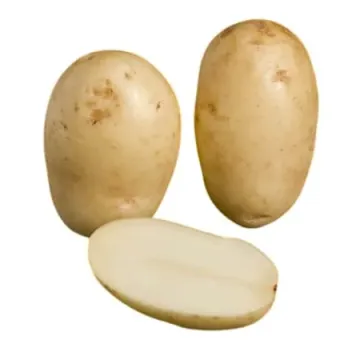 Аргос