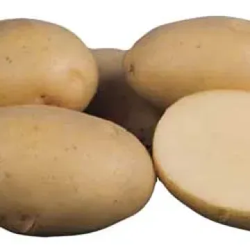 Ариель