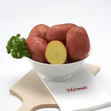 Беллароза