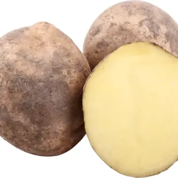 BORUS 2