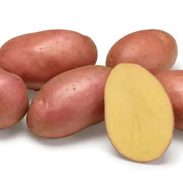 Есми