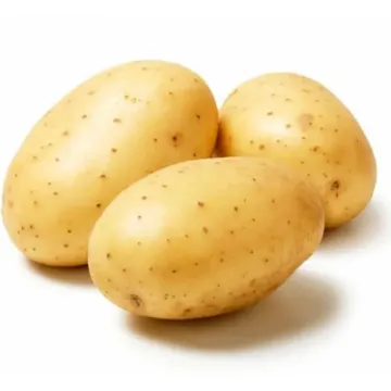 Гала