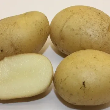 Калужский