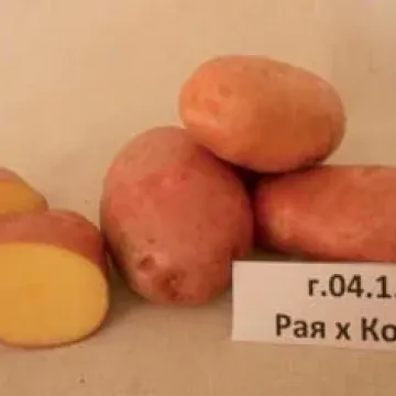 Каштак