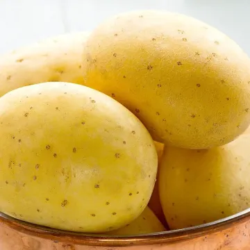 Коронада
