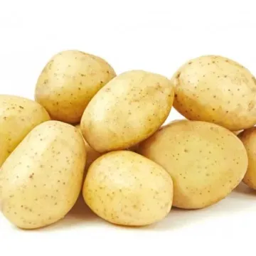 Леди Сара
