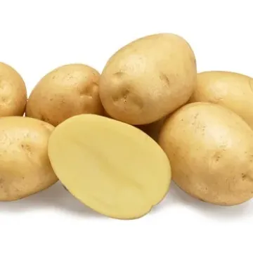 Мадлен